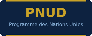 logo pnud